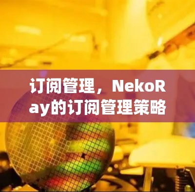 订阅管理，NekoRay的订阅管理策略