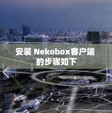 安装 Nekobox客户端 的步骤如下