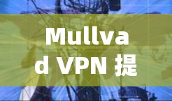 Mullvad VPN 提供多种加密方式，适合不同需求的用户。以下是最新版本的应用推荐，涵盖功能全面性和安全性
