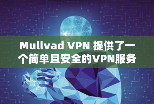 Mullvad VPN 提供了一个简单且安全的VPN服务，旨在帮助用户在需要VPN时节省时间和费用。以下是一些关于用户的真实评价，供参考