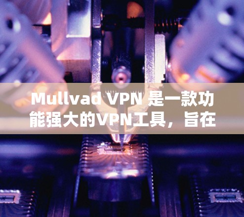 Mullvad VPN 是一款功能强大的VPN工具，旨在为用户提供安全、可靠和高效的网络连接体验。以下是对 Mullvad VPN 的速度测试和连接质量评估的详细分析