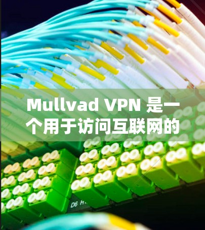 Mullvad VPN 是一个用于访问互联网的软件，提供加密和VPN功能，适合需要高级加密或端口管理的用户。以下是下载和使用的步骤