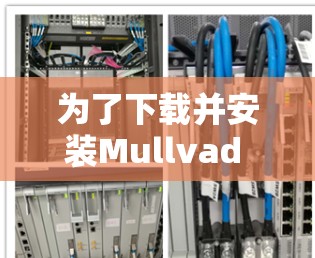 为了下载并安装Mullvad VPN APP，您可以按照以下步骤进行