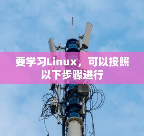 要学习Linux，可以按照以下步骤进行