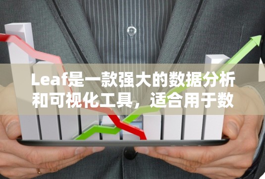 Leaf是一款强大的数据分析和可视化工具，适合用于数据探索、建模和展示。以下是 Leaf 使用指南的详细步骤说明