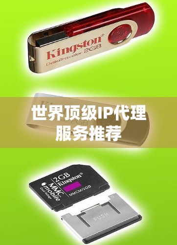 世界顶级IP代理服务推荐