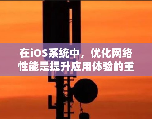 在iOS系统中，优化网络性能是提升应用体验的重要步骤。以下是一些常见的iOS网络优化软件及其优化方法，帮助您提升应用下载速度和体验