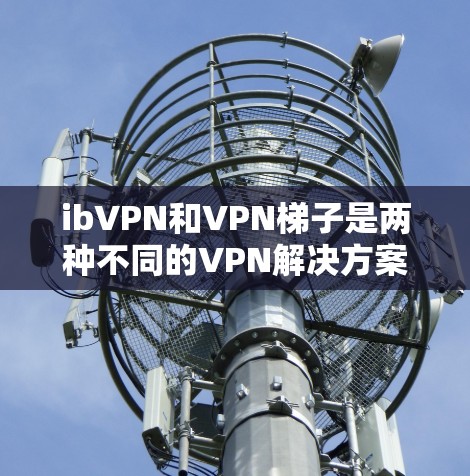 ibVPN和VPN梯子是两种不同的VPN解决方案，各有其独特之处。以下是它们的主要区别和特点