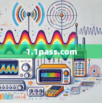 1.1pass.com