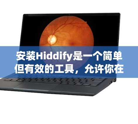 安装Hiddify是一个简单但有效的工具，允许你在网页中隐藏和显示特定内容。以下是一个详细的安装步骤，帮助你轻松安装并开始使用Hiddify