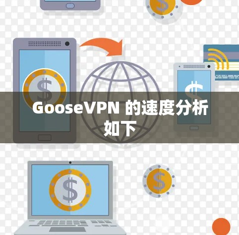 GooseVPN 的速度分析如下