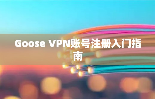 Goose VPN账号注册入门指南