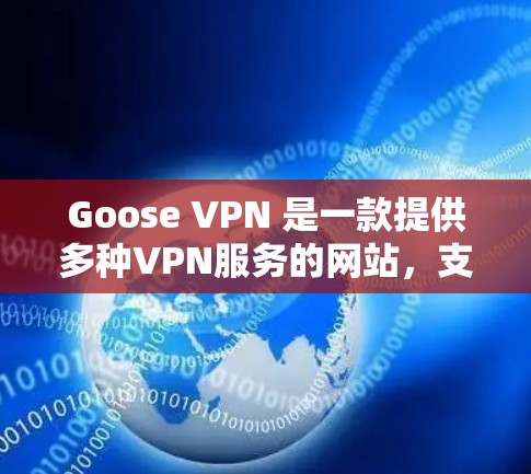 Goose VPN 是一款提供多种VPN服务的网站，支持WebVPN、手机上网和电脑上网等。以下是下载Goose VPN的步骤和注意事项