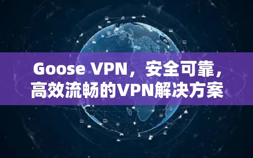 Goose VPN，安全可靠，高效流畅的VPN解决方案