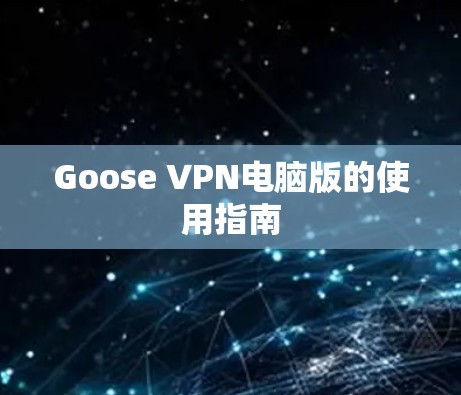 Goose VPN电脑版的使用指南