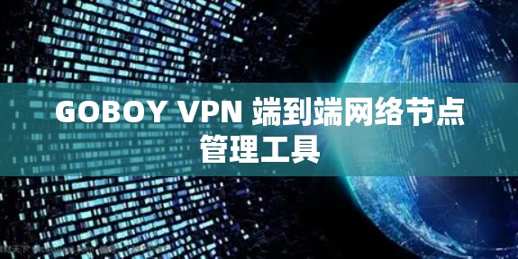 GOBOY VPN 端到端网络节点管理工具