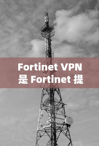 Fortinet VPN 是 Fortinet 提供的高级VPN解决方案，旨在提供安全、高效且灵活的网络访问服务。以下是对 Fortinet VPN 替代方案的分析以及品牌比较
