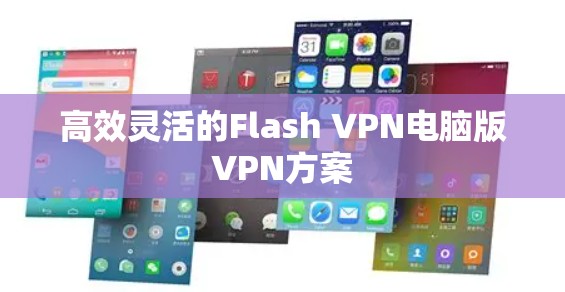 高效灵活的Flash VPN电脑版VPN方案