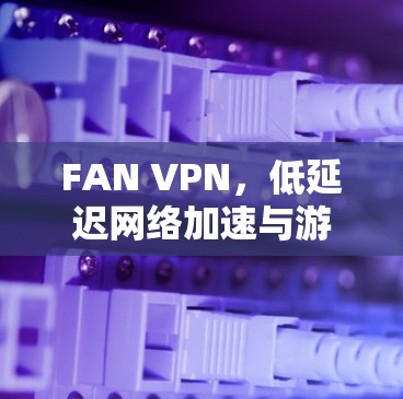 FAN VPN，低延迟网络加速与游戏体验
