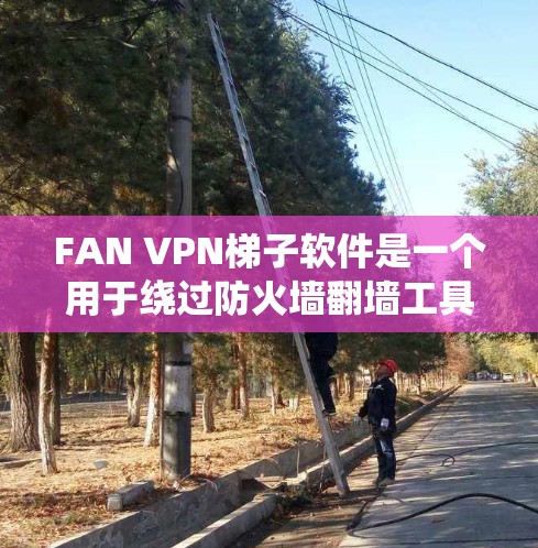 FAN VPN梯子软件是一个用于绕过防火墙翻墙工具，支持在没有防火墙的情况下访问互联网。以下是对该工具的详细评测